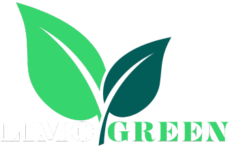 Limo-Green logo